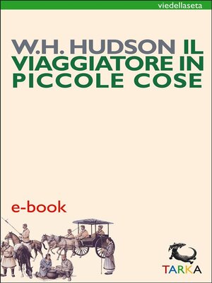 cover image of il viaggiatore in piccole cose